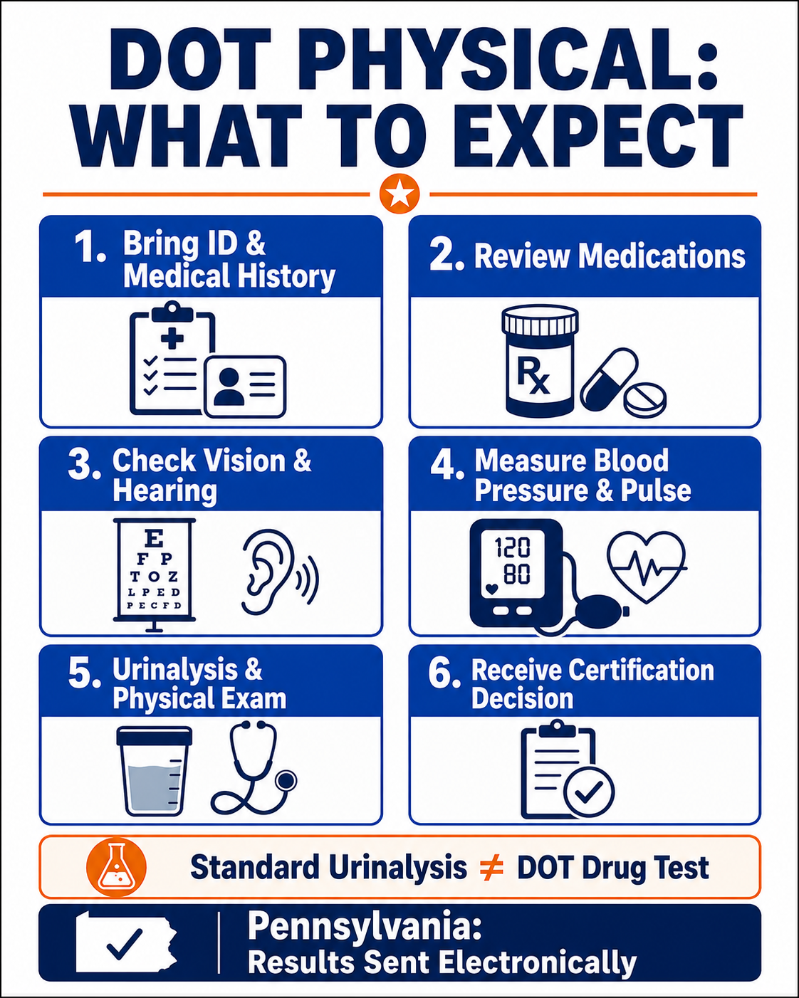 Six-step DOT physical infographic covering documents, medications, vision, hearing, blood pressure, urinalysis, physical examination, and certification